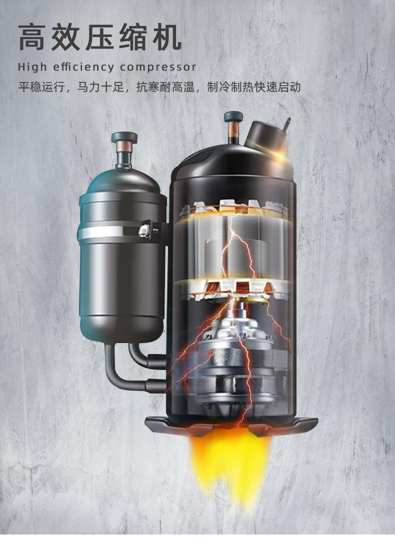 3匹-（晟望）1_05.jpg